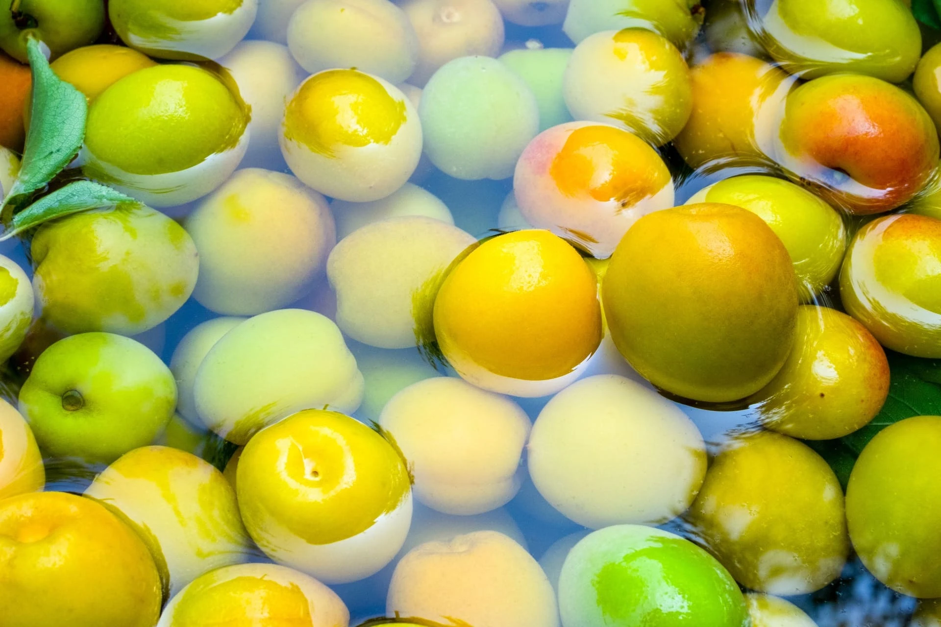 AdobeStock_356871659