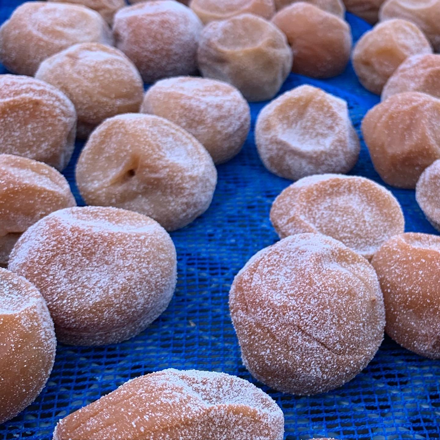自然の恵みを味わう、完熟梅で手作り梅干しの美味しさを再発見