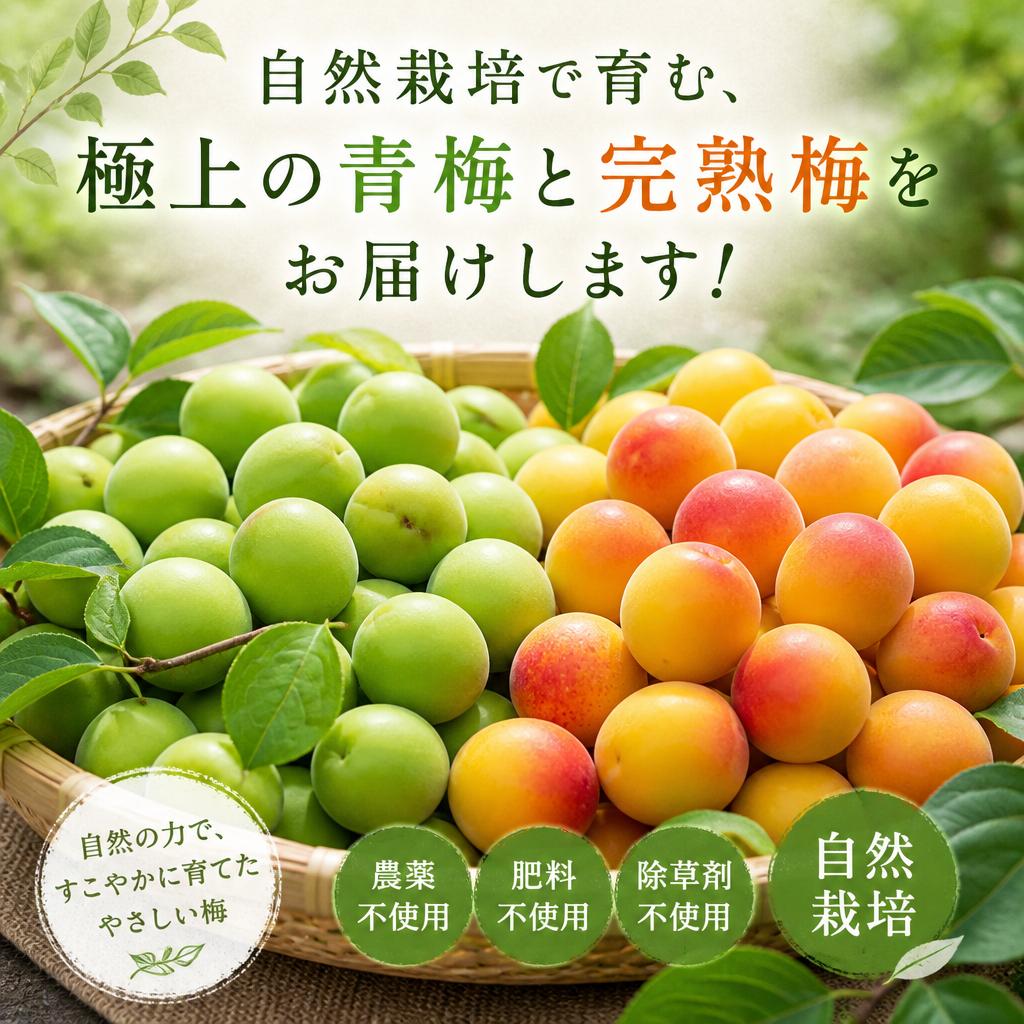 自然栽培で育む、極上の青梅と完熟梅をお届けします！