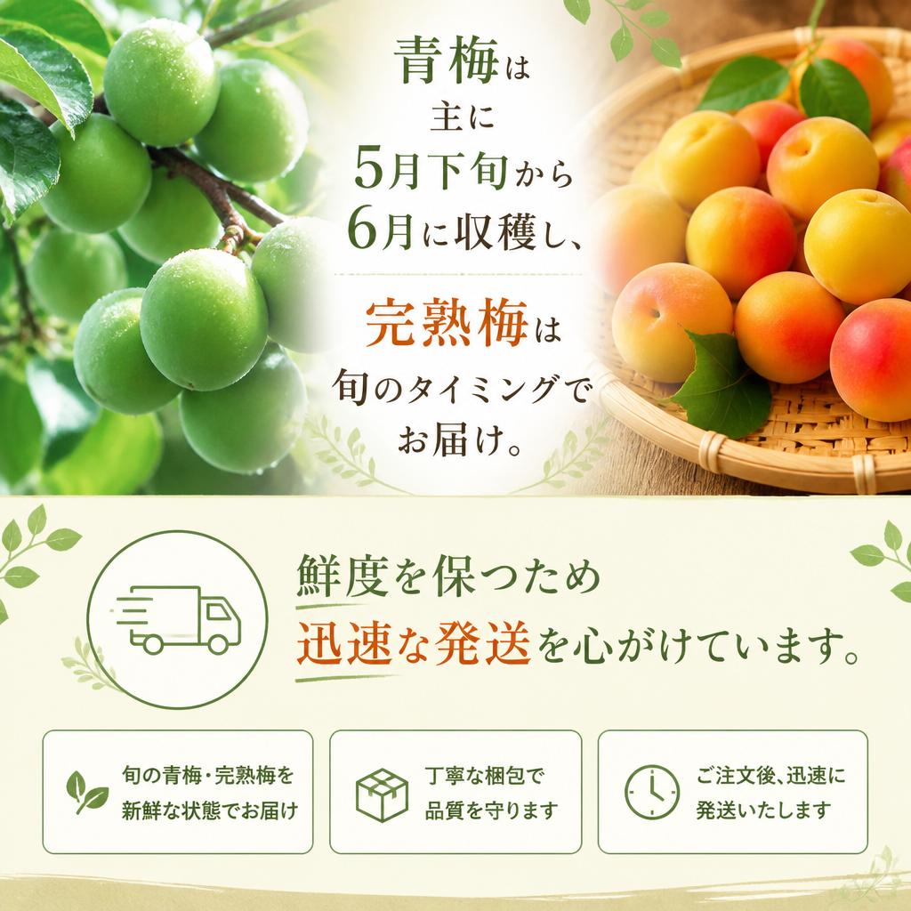5. 収穫と発送のタイミング