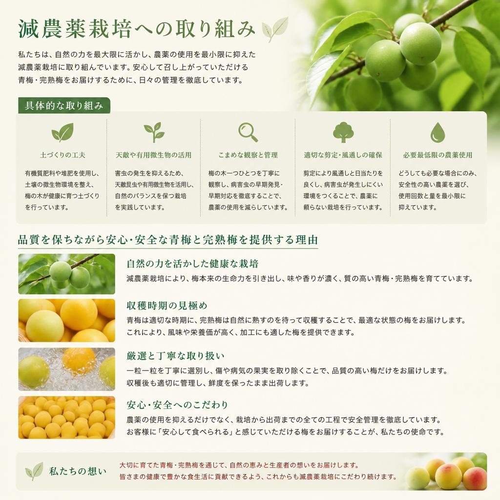 こだわりの減農薬栽培